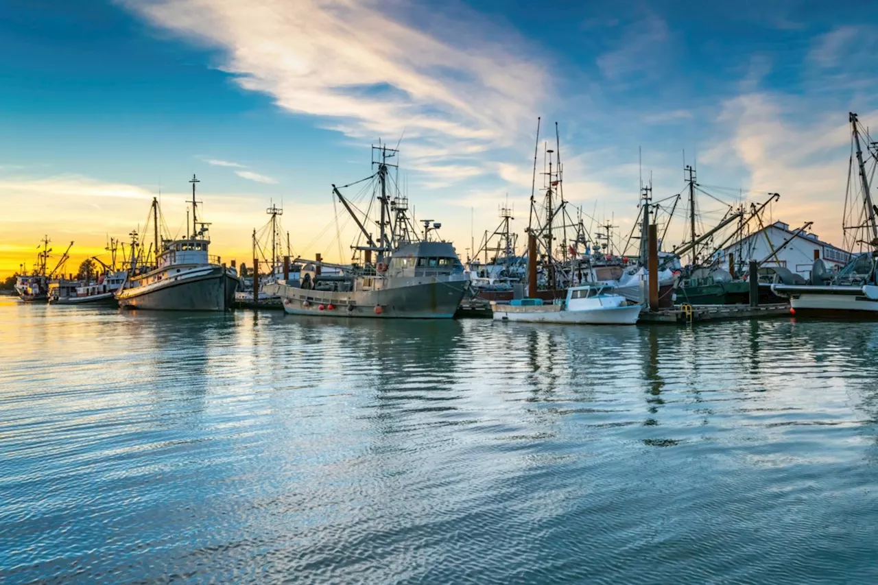 Canada needs to curb its import-export swap to make seafood sustainable