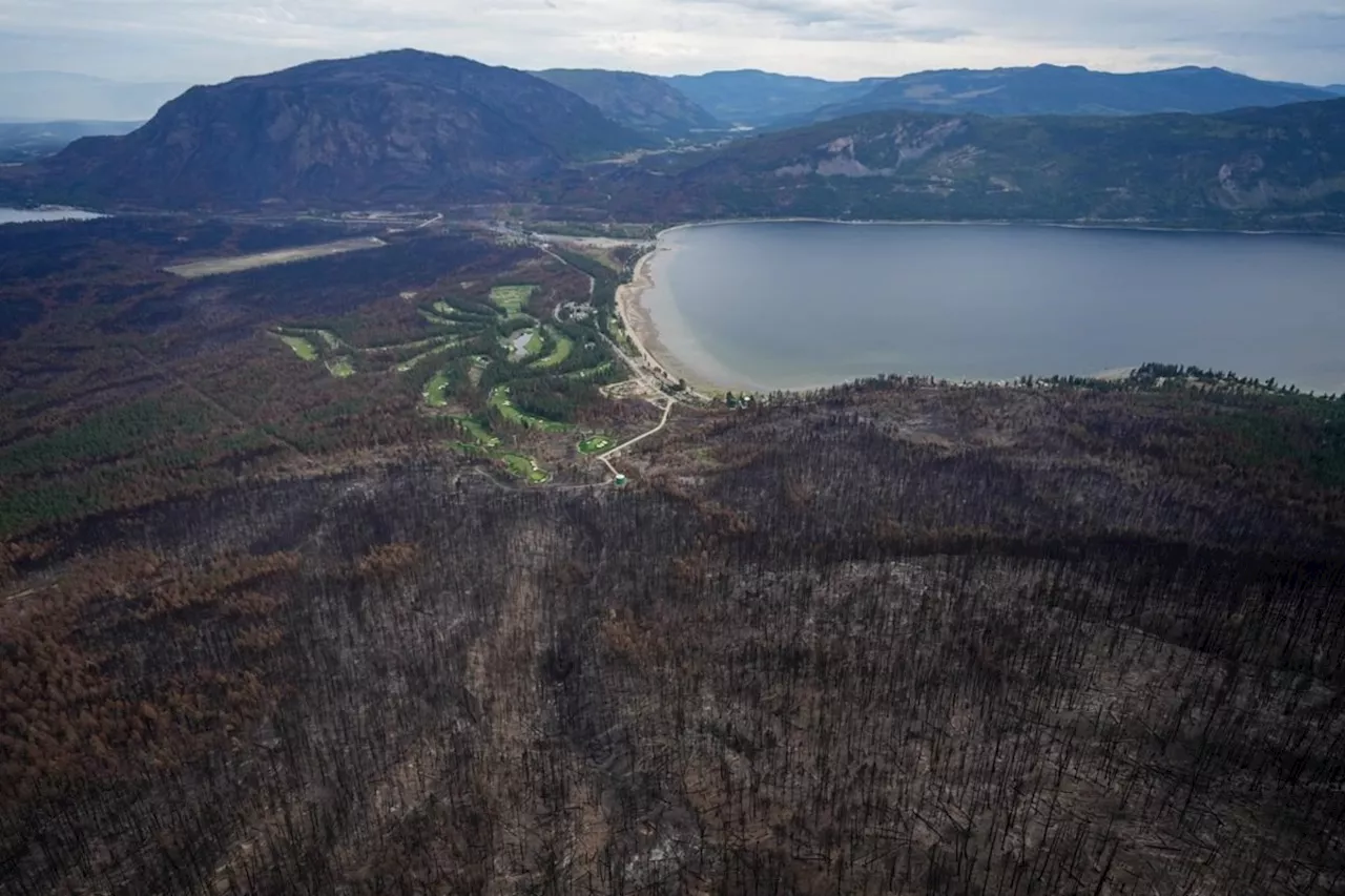 Why fall's arrival hasn't shaken off the impact of B.C.'s 'exceptional' drought