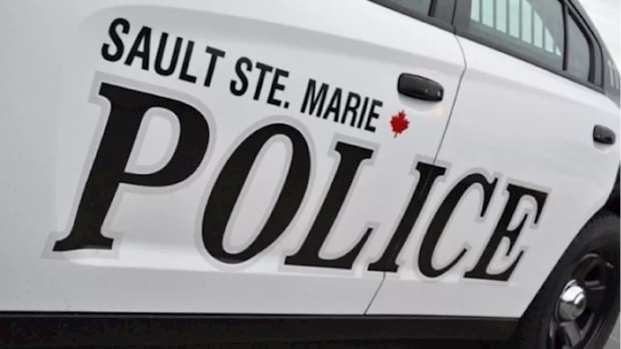 5 dead, including 3 children, following intimate partner violence in Sault Ste. Marie, Ont.