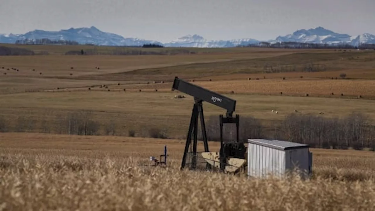 Alberta regulator mulls reducing liability of old wells before cleanup certified