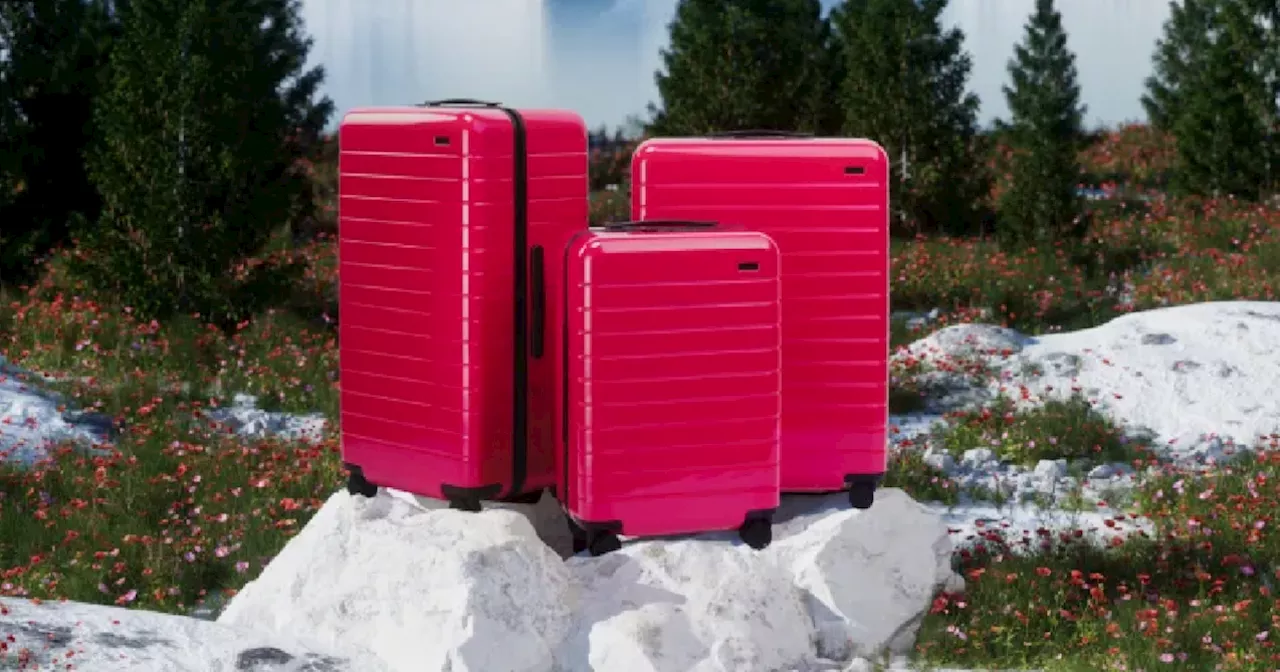 Away luggage just launched a stunning new holiday colorway that will match your Christmas poinsettias