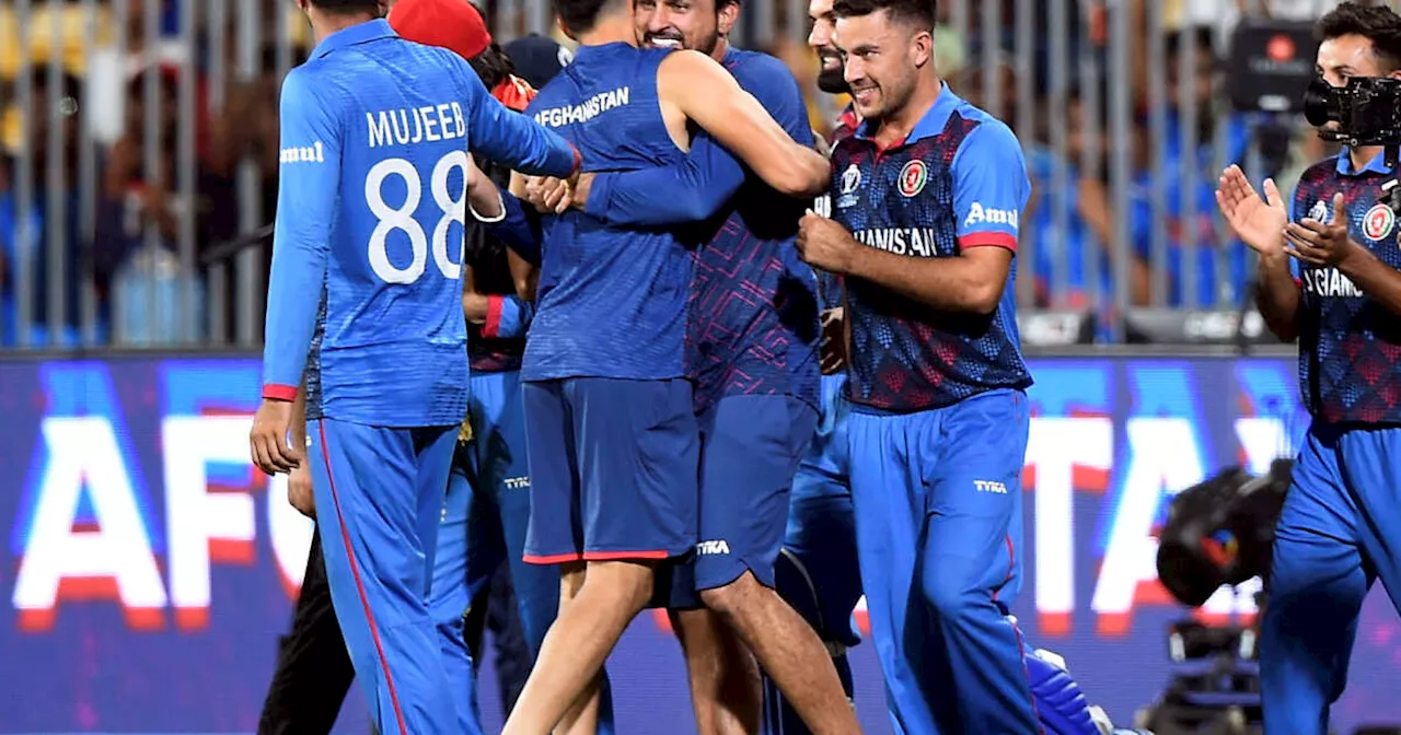 Cricket : après une victoire historique face à l’Angleterre, l’Afghanistan bat le Pakistan