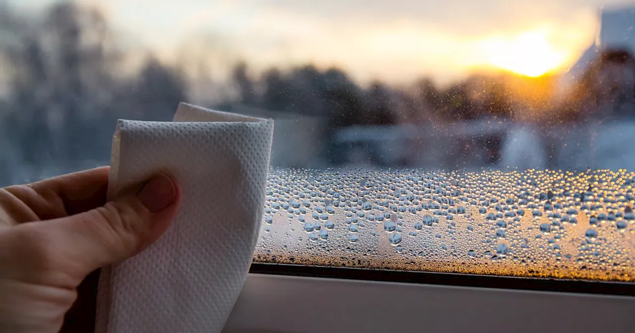 Exact temperature to heat your home to keep condensation off windows