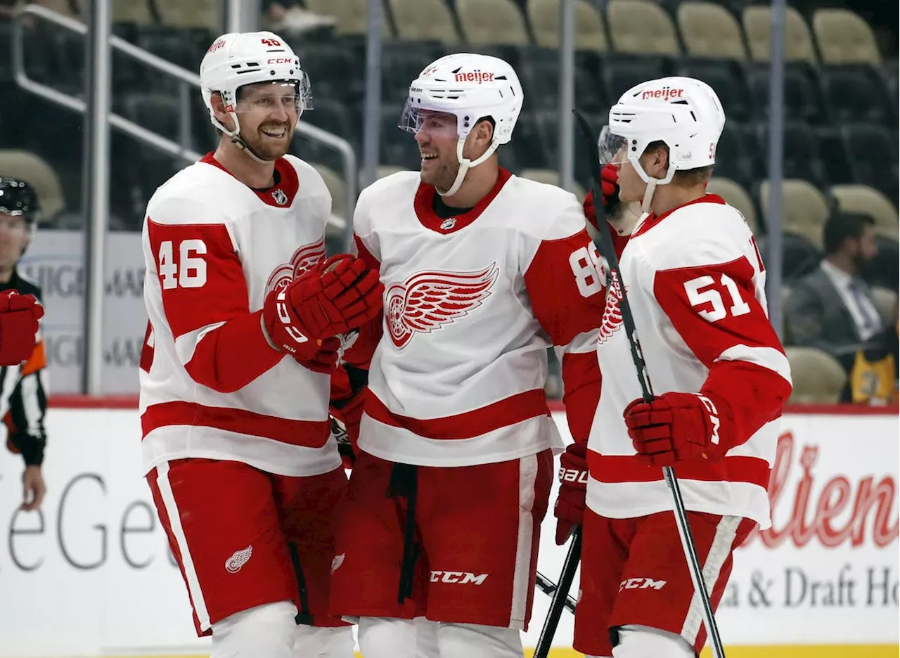 Detroit Red Wings’ Jeff Petry day-to-day with injury