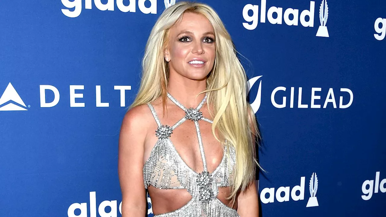 Britney Spears brands Onyx Hotel Tour as 'stupid' and 'too sexual'... calling it a 'rebuttal' to ex...