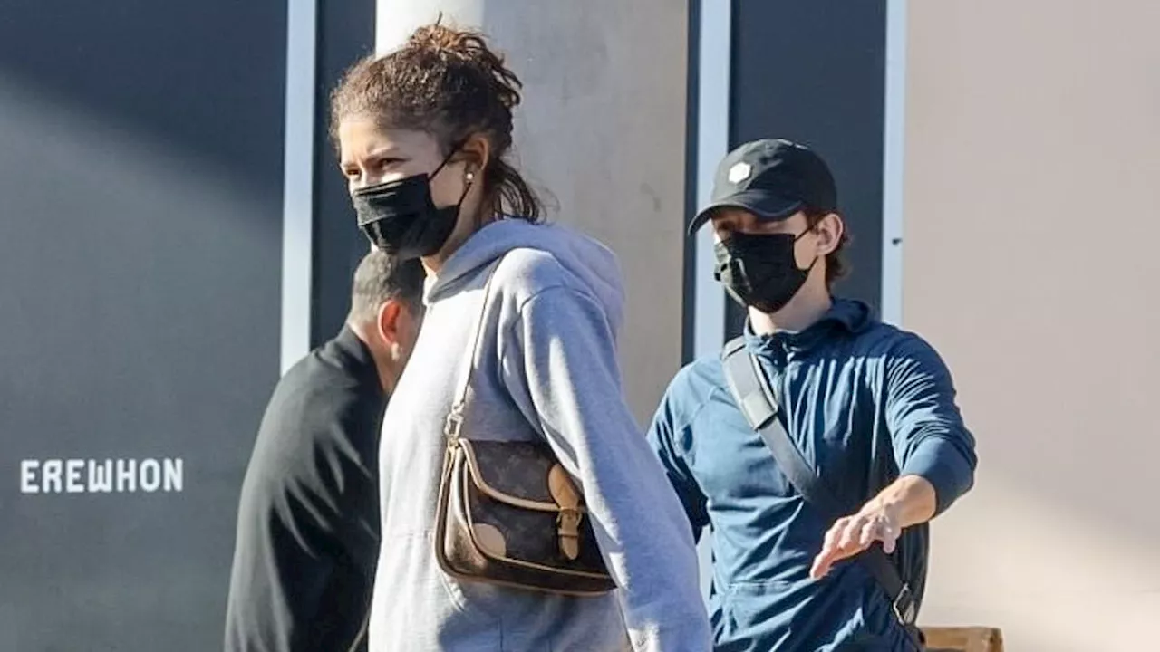 EXCLUSIVE: Zendaya and boyfriend Tom Holland keep a low profile while stocking up on groceries at ...