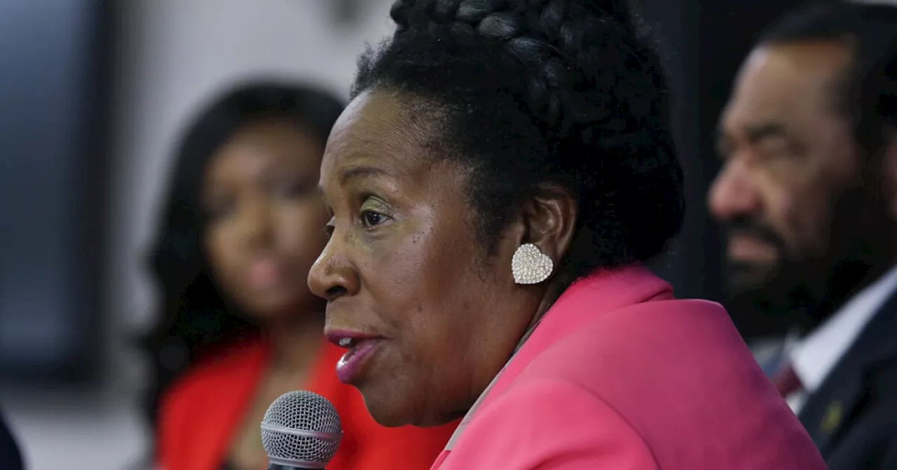 Sheila Jackson Lee breaks silence over berating staffer in leaked audio: 'I expect excellence'