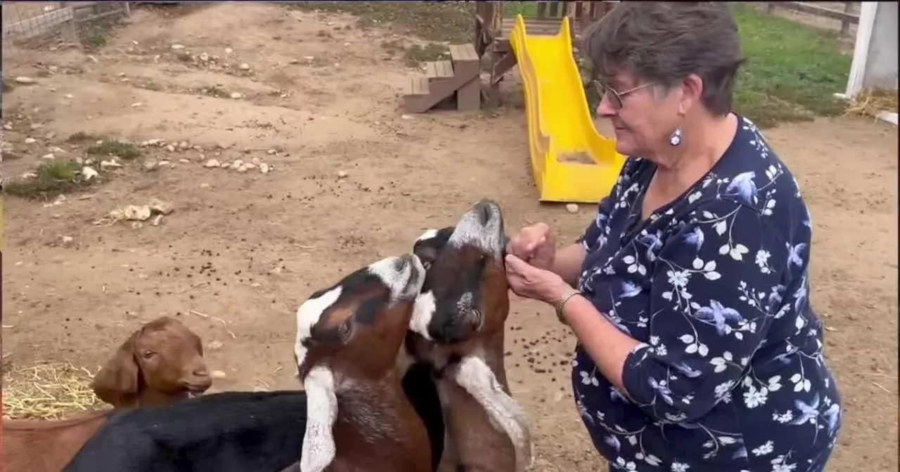 Fort Collins woman gives her free time to provide veterinary care to animals at The Farm