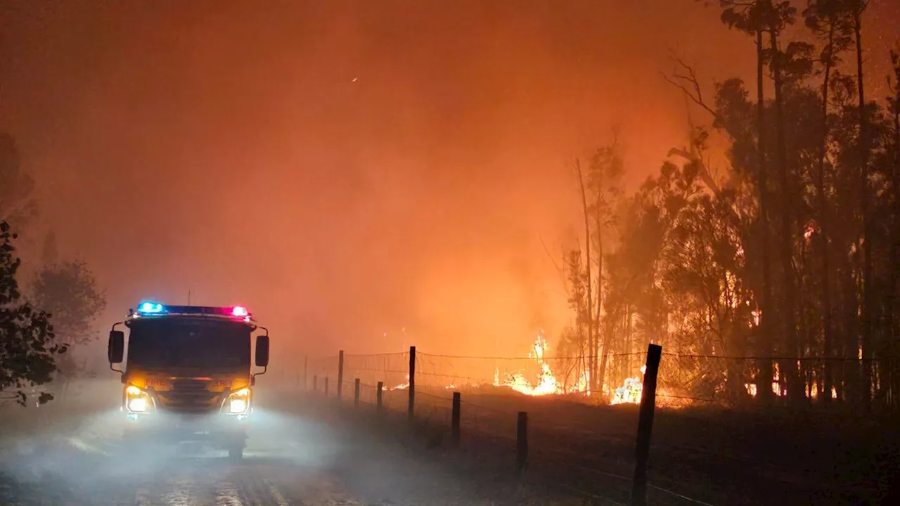 Dutzende Menschen evakuiert: Buschfeuer im Nordosten Australiens – Behörden warnen vor heftiger Brandsaison