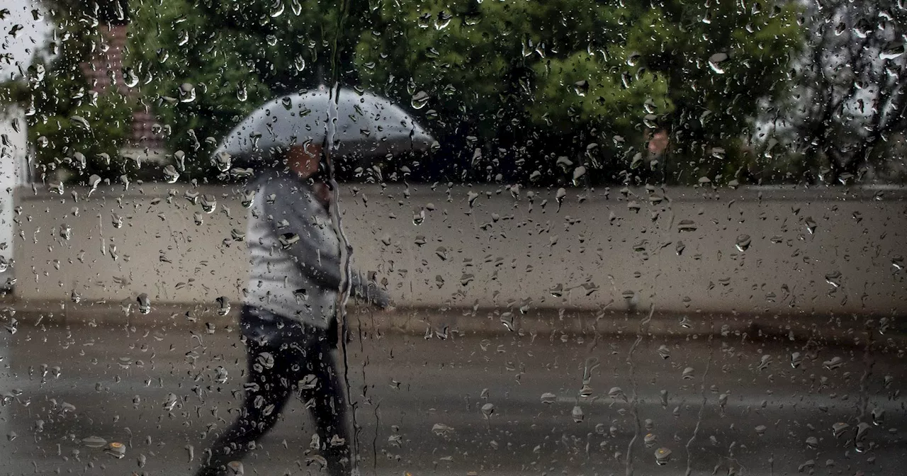 Nove distritos do continente sob aviso amarelo devido à chuva e vento