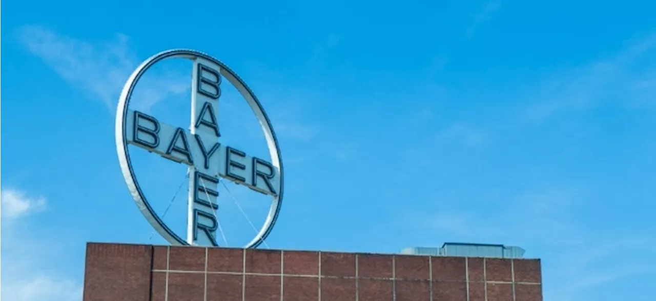 Erste Schätzungen: Bayer öffnet die Bücher zum abgelaufenen Quartal