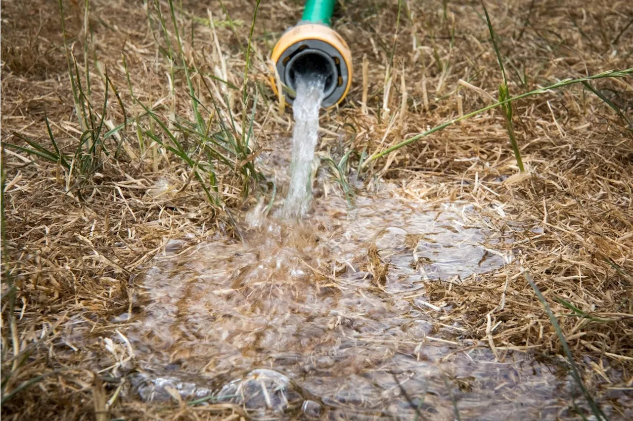 How An Ugly Lawn Competition Got People Talking About Saving Water