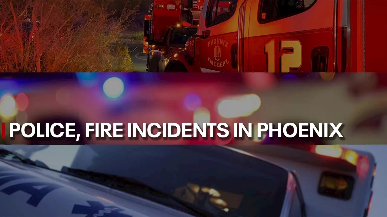 Alerts in your neighborhood: Latest police, fire incidents around the Valley (Oct. 23-29)