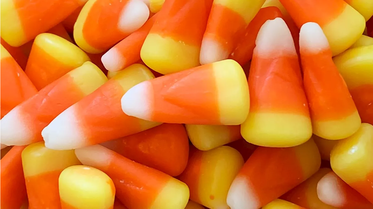 Love it or hate it, feelings run high over candy corn come Halloween