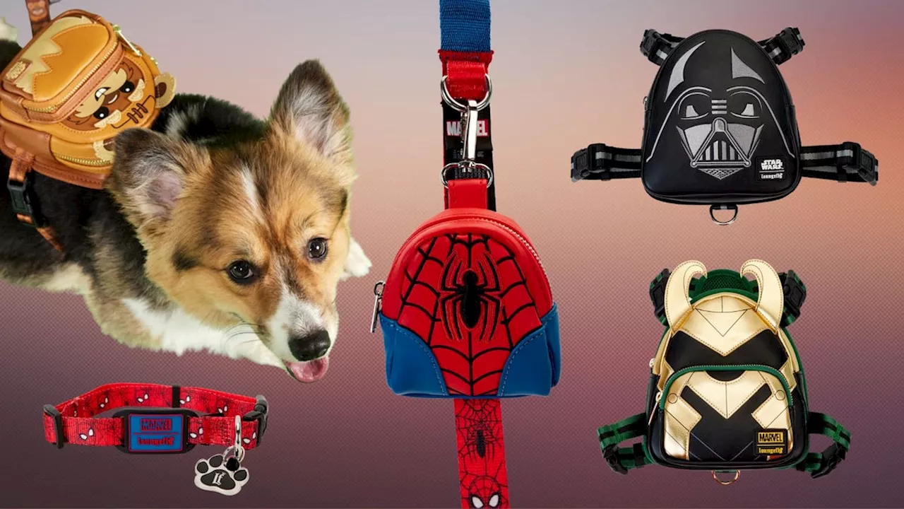 Loungefly Debuts Pet Accessories Line Featuring Loki, Spider-Man, and Star Wars