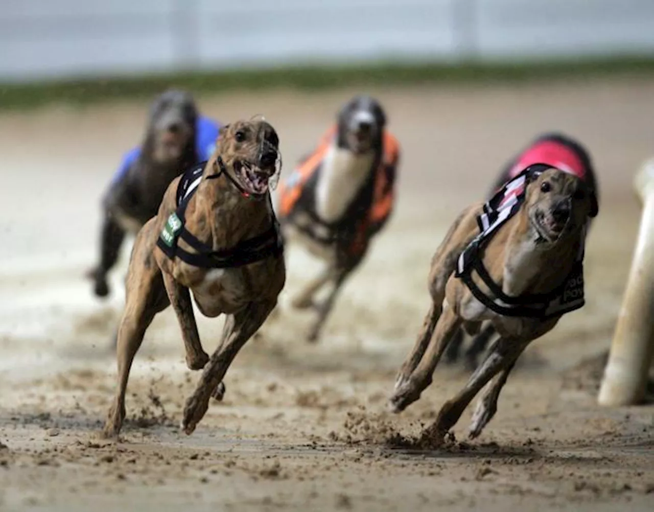 Plans to demolish greyhound race track near Glasgow