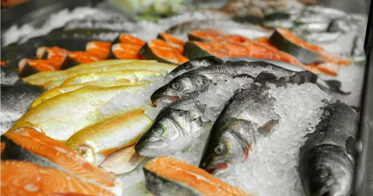 Nearly 90% Canadians eat seafood, fish regularly – despite high prices: poll