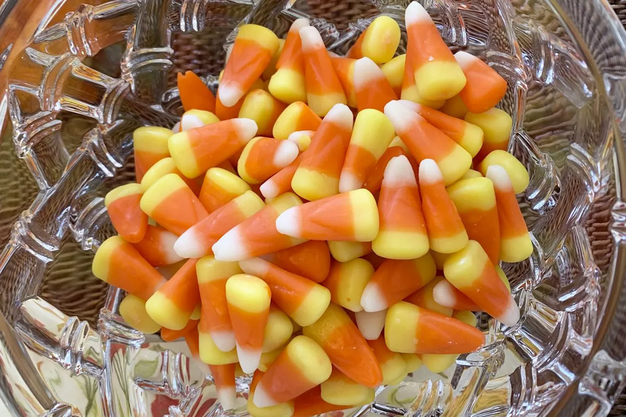 Love it or hate it, feelings run high over candy corn come Halloween