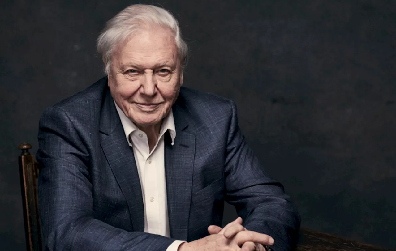 David Attenborough is making another five-part documentary series for the BBC