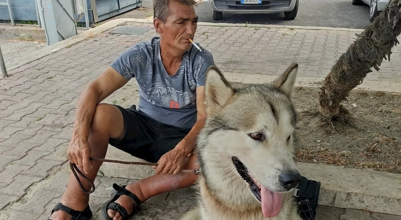 Il suo padrone-clochard morì per non abbandonarlo, ora Aron ha una nuova casa (a Ostia)