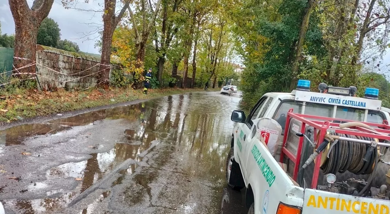 Maltempo, decine di interventi nella Bassa Tuscia per alberi caduti: disagi alla viabilità