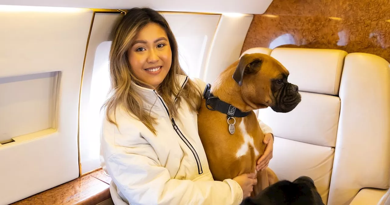 Private jet for pets to Dublin sparks controversy as firm vows to offset carbon