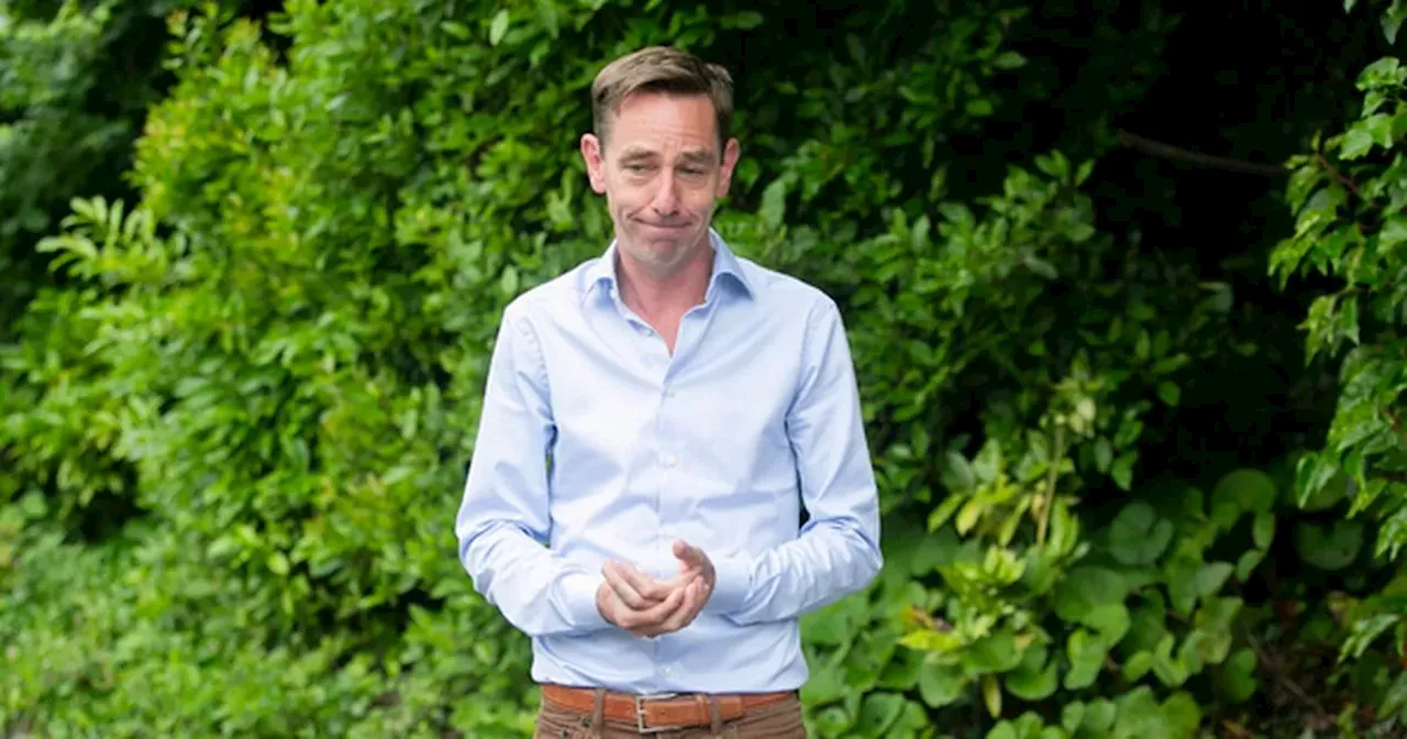 Tubridy addresses I'm a Celeb rumour as speculation about TV return ramps up