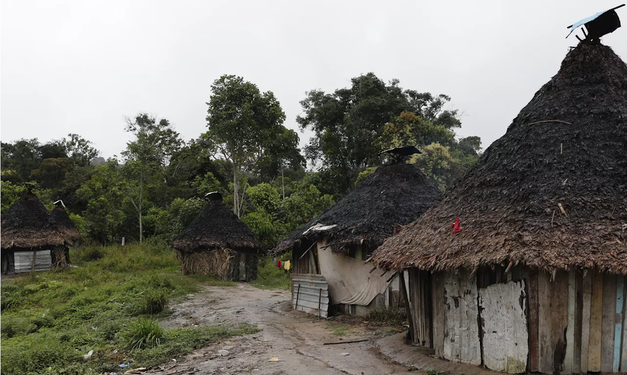 Representantes de corte interamericana visitarão TI Yanomami