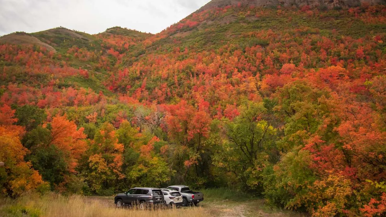 Major canyon closure set to begin; city to improve access to City Creek downstream