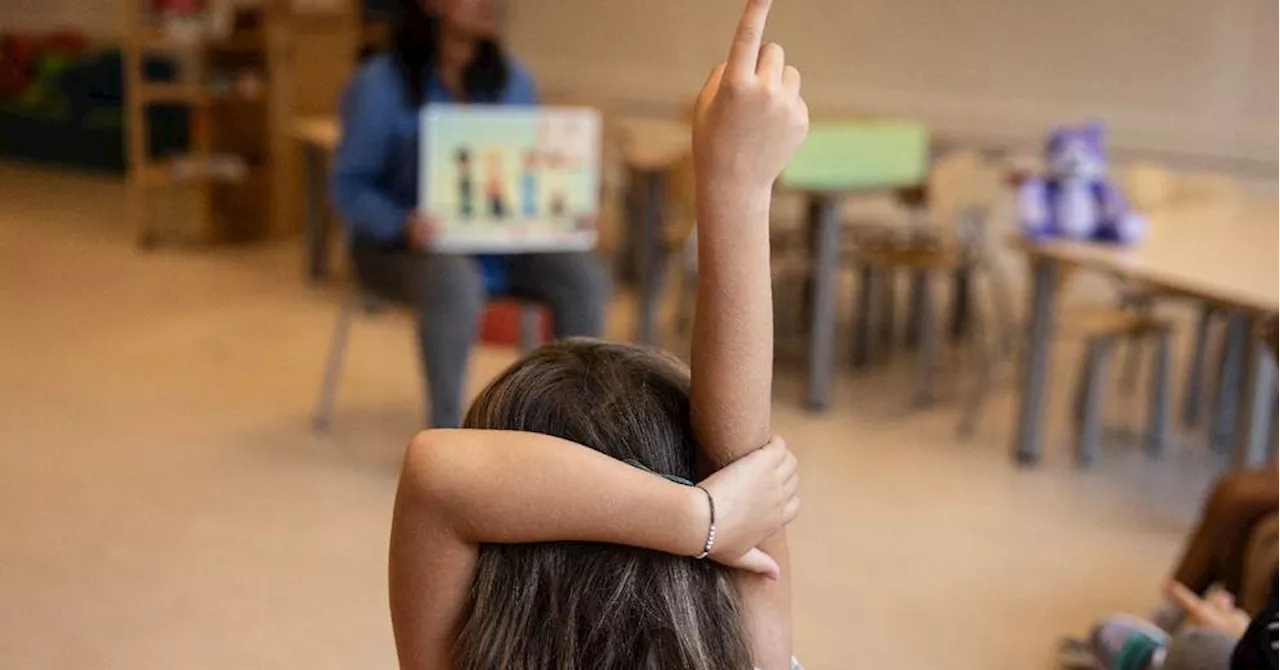 Harcèlement scolaire : un questionnaire anonyme pour tous les élèves à partir du CE2 à la rentrée