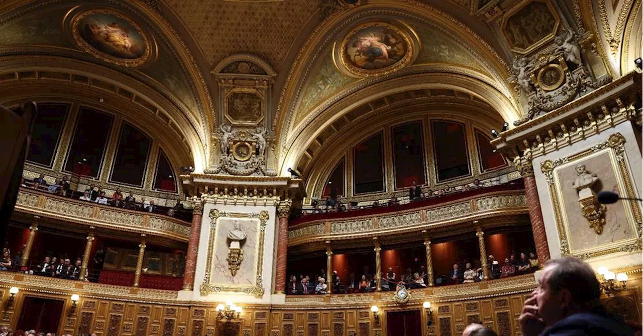 Le Sénat se penche sur l'accès aux soins, sous la surveillance des médecins