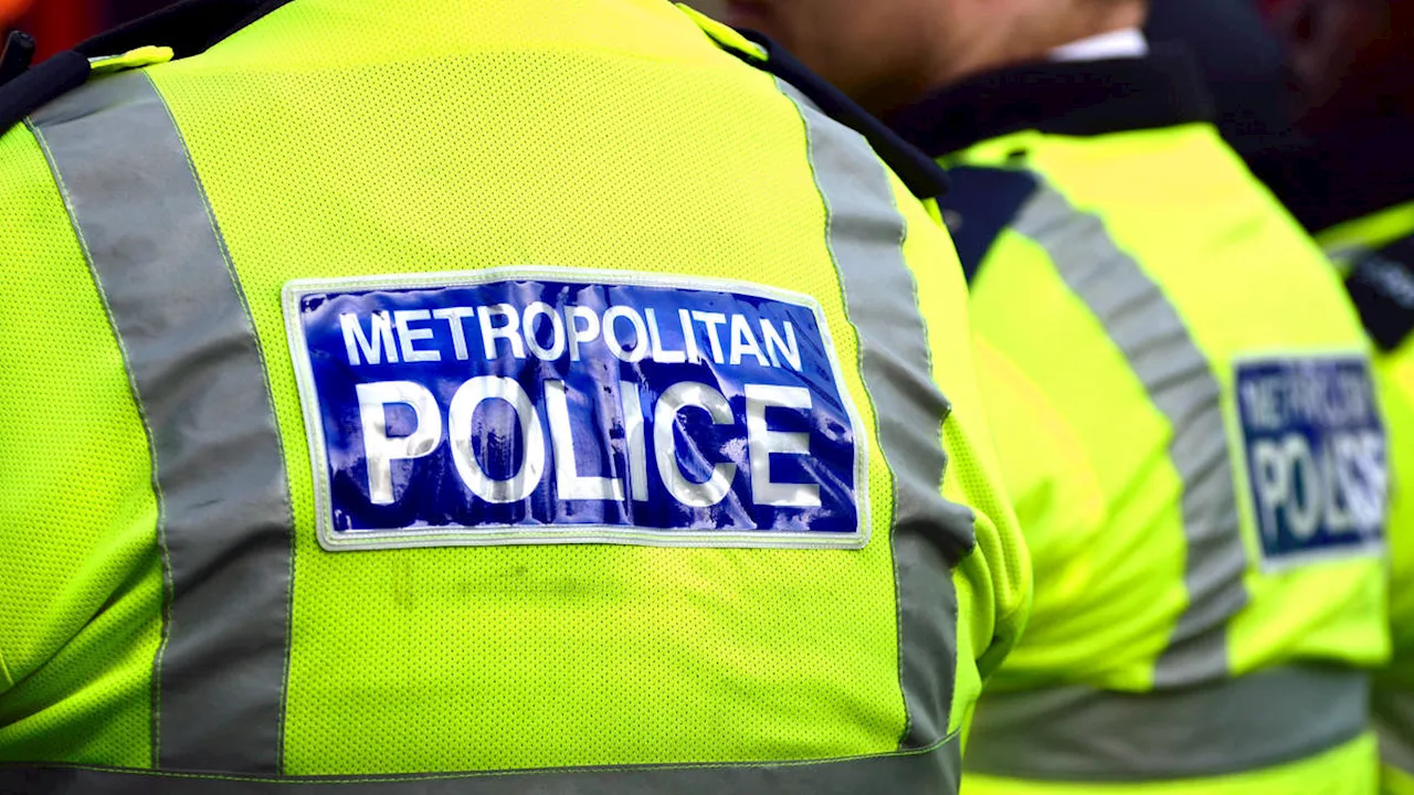 Two Met police officers still in the job despite 'questionable' decision to use sex workers