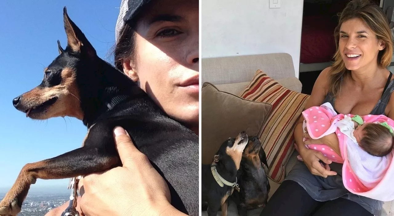 Elisabetta Canalis, morta la cagnolina Mia. Il doloroso addio dopo 16 anni: «Grazie per il tuo amore»