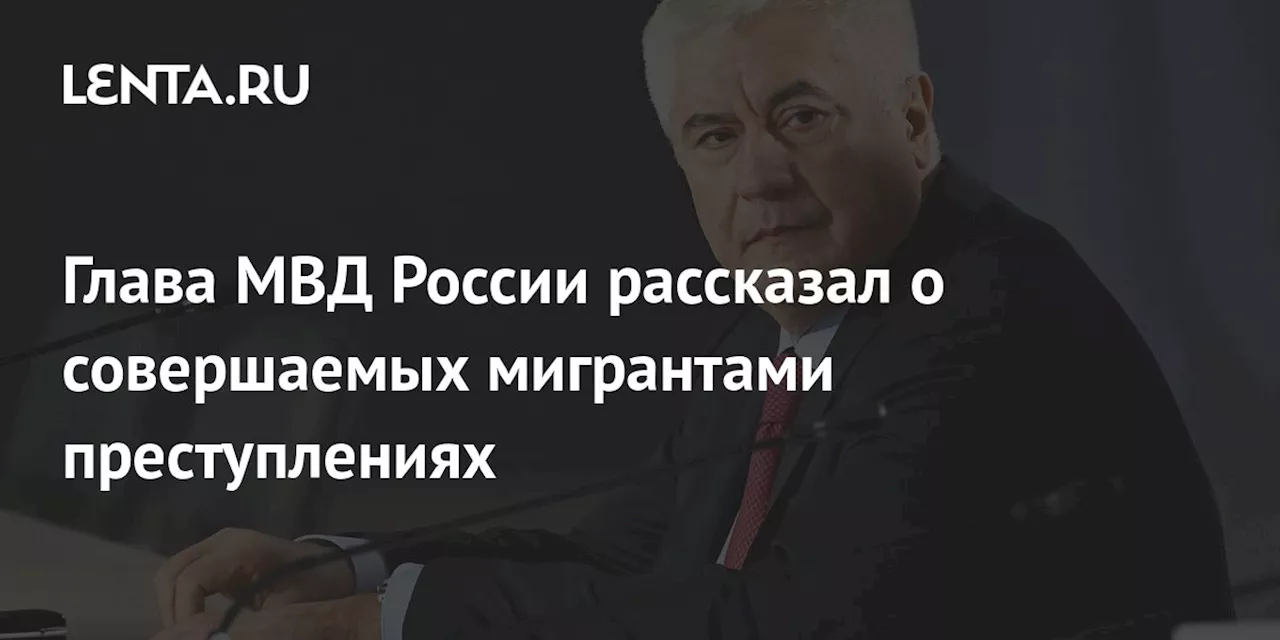 Глава МВД России рассказал о совершаемых мигрантами преступлениях