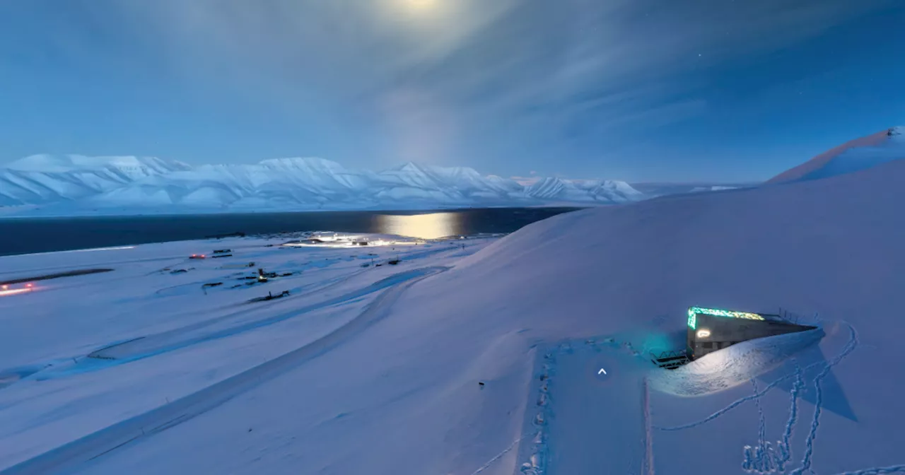 Au Svalbard, une réserve de semences à l’abri du monde : « La Corée du Nord et les Etats-Unis sont très amis, ici »