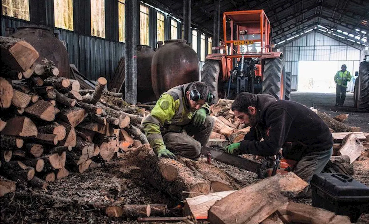 Galériens de l'emploi : les territoires zéro chômeurs, c'est possible