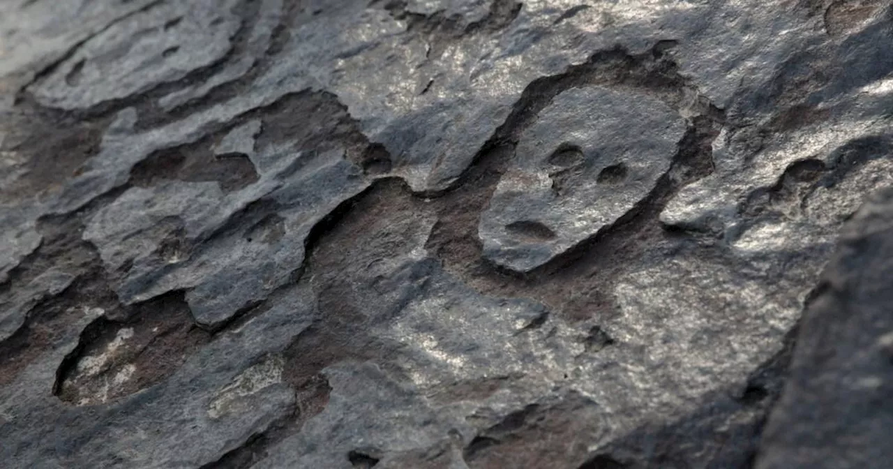 Ghastly secret faces hidden for 2,000 years uncovered by Amazon drought