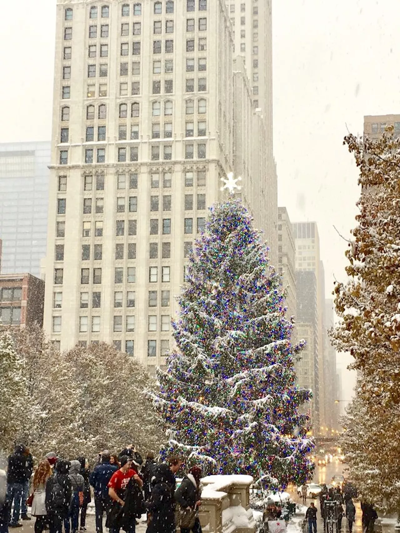 Mark your calendars: Chicago's official holiday tree lighting date announced