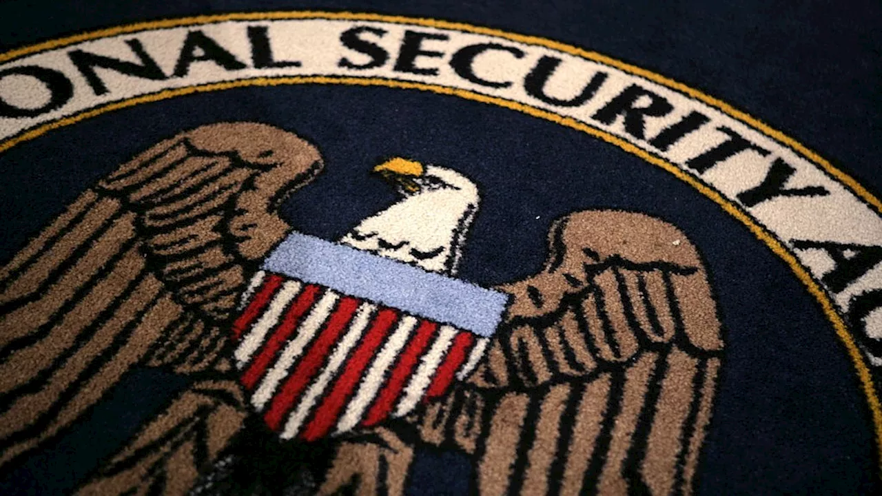 Former NSA worker pleads guilty to trying to sell US secrets to Russia