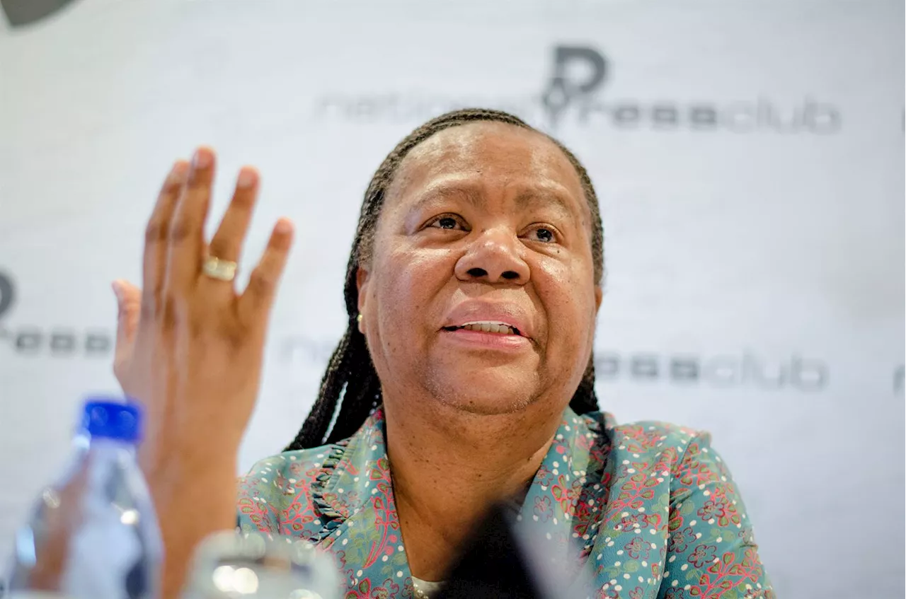 Pandor heading to UN as she calls for end to Palestinian suffering amid armed conflict