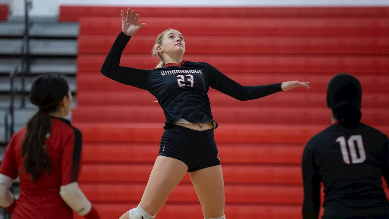 Girls volleyball: Statewide stat leaders for October 24