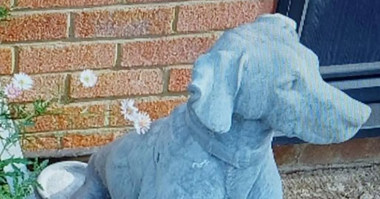 Dog statue weighing up to 80kg stolen from driveway in Northampton