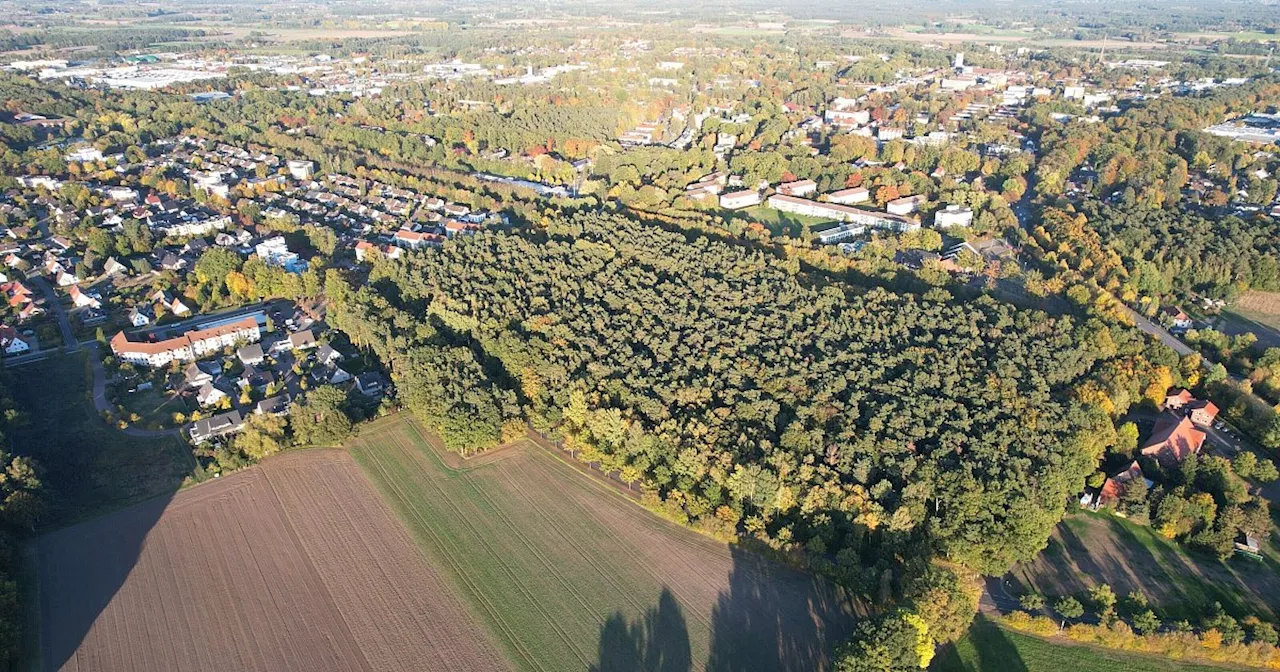 Klinik-Neubau: Kreistag stimmt für Kauf der Flächen im Espelkamper Gabelhorst-Wald