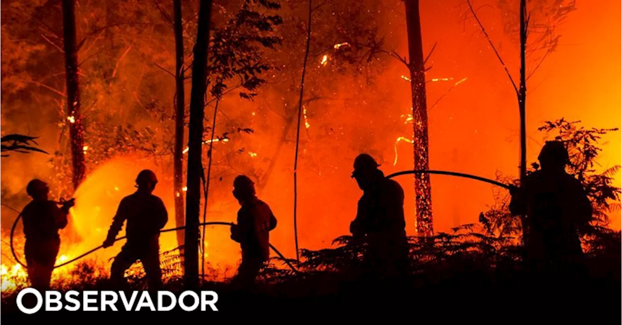 Incêndios: Relação rejeita que movimento seja assistente no processo dos fogos de outubro 2017