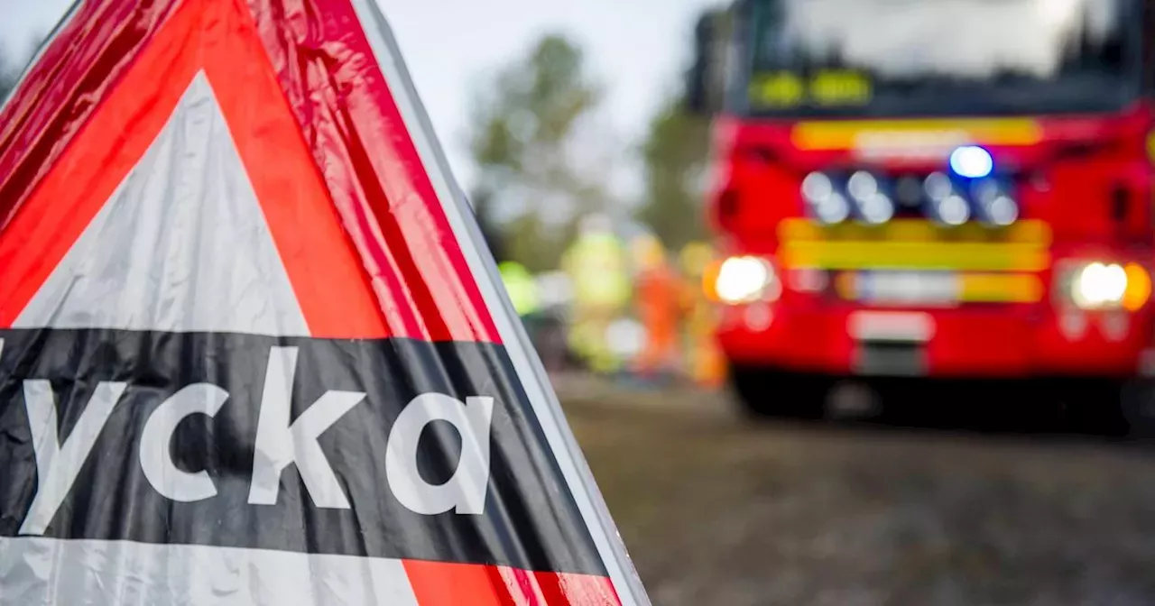 Bil Krockade Med älg Längs E45 – Förare Till Sjukvård