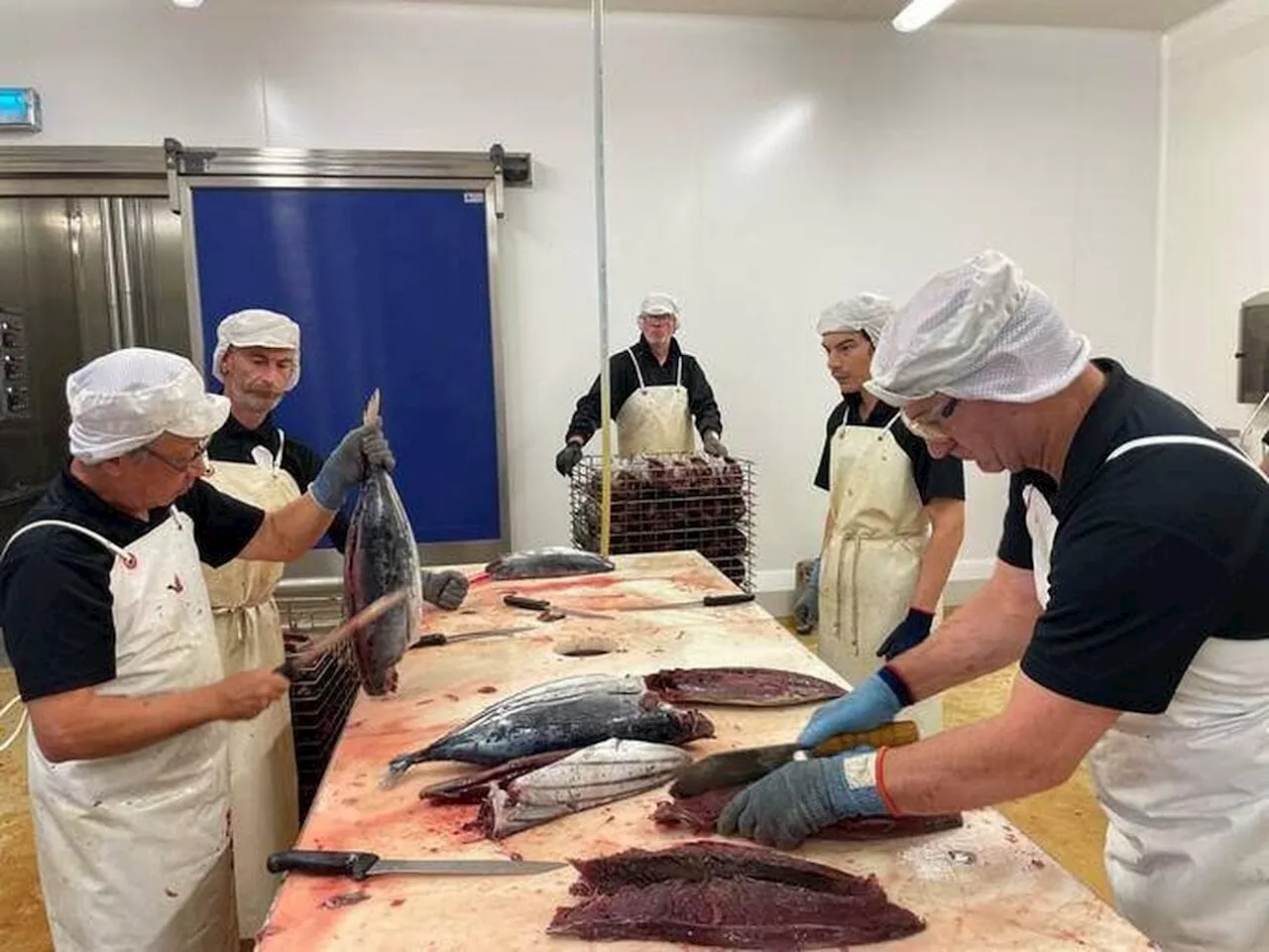 Ces Bretons fabriquent du katsuobushi, un ingrédient aussi populaire que le beurre au Japon