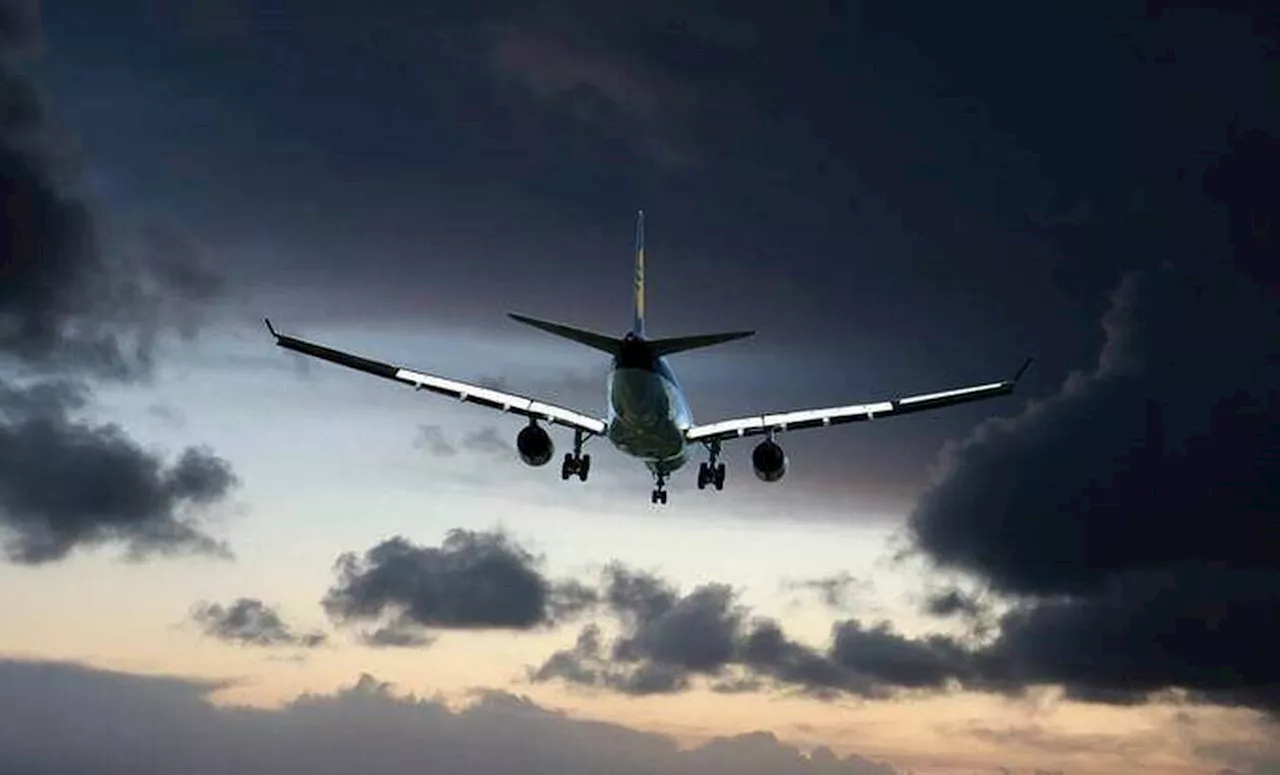 Cette innovation inspirée des oiseaux va-t-elle faire des turbulences en avion un mauvais souvenir ?