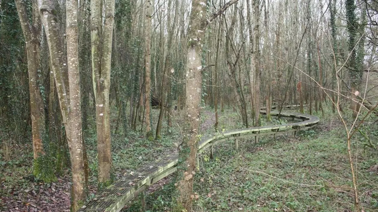 Une sortie nature à La Passerelle d’Auzay, dans la vallée de l’Argenton