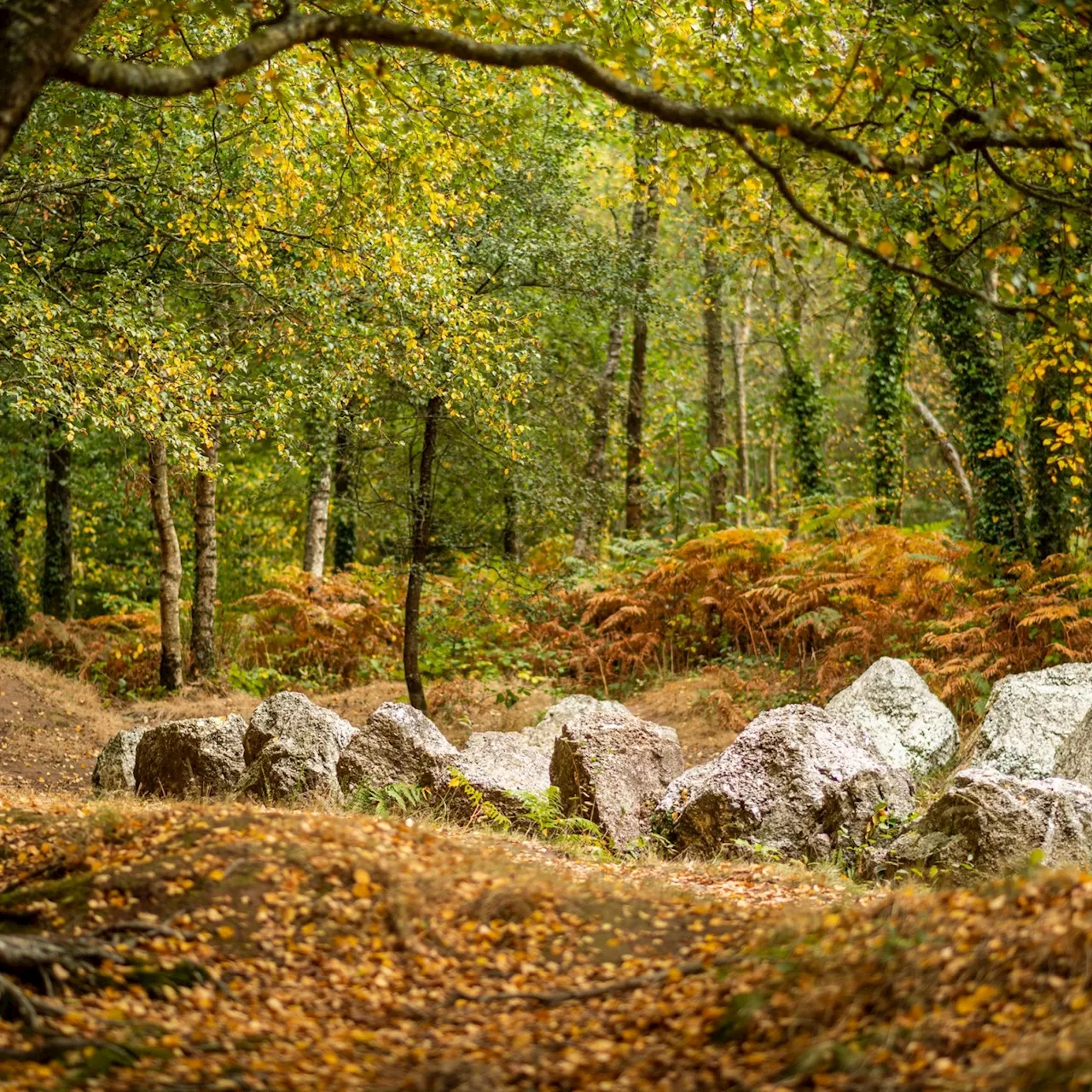 Bretagne : après le Covid, l'ésotérisme et les dérives sectaires de plus en plus populaires