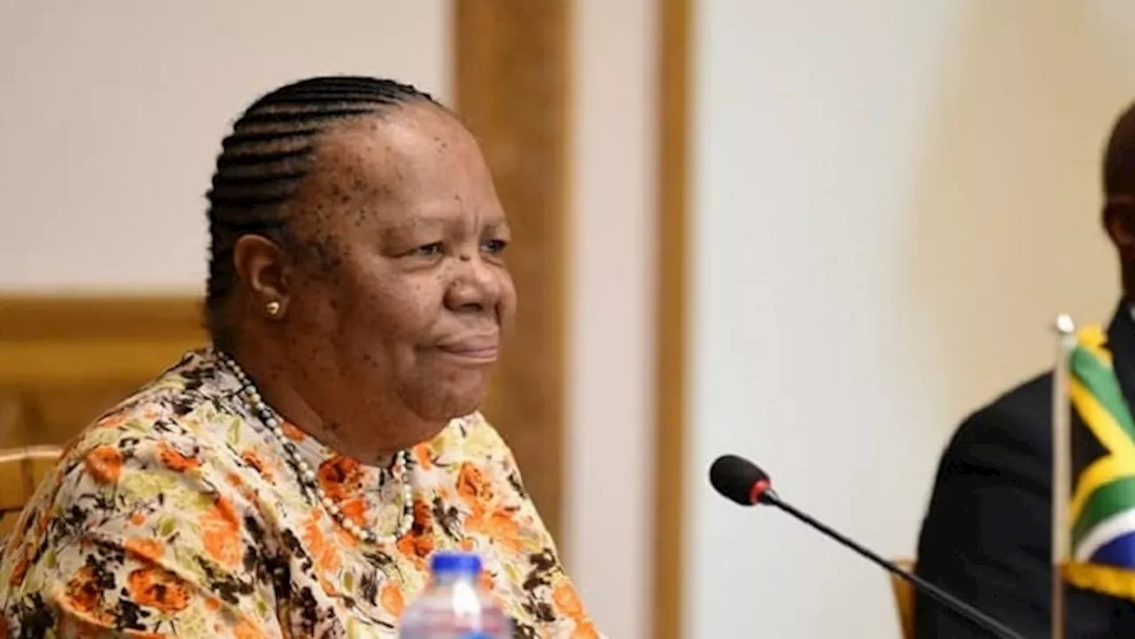 Pandor to participate in UN Security Council Middle East debate - SABC News